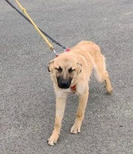 Dafne, Diego,Dean. 3