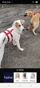 Dafne, Diego,Dean. 7