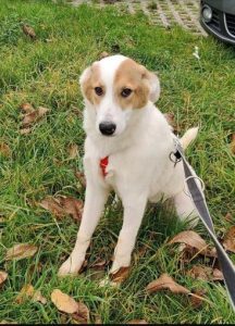 Dafne, Diego,Dean.jpg 1