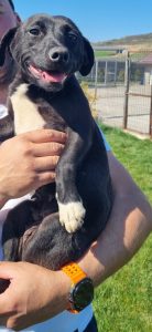 Geschwister Hope, Holly, Hugo und Herbie 2