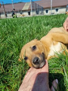 Geschwister Hope, Holly, Hugo und Herbie5