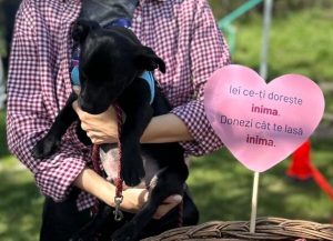 Gina, Gino., Grace und Gwen.jpeg 1